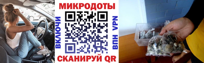 Галлюциногенные грибы Psilocybe  Новоузенск 